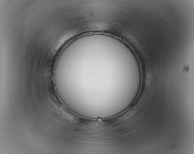 X0000111431210200907271057