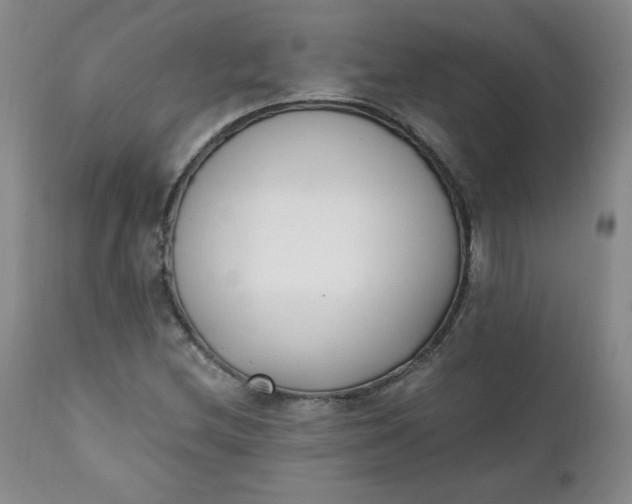 X0000111431212200907271057