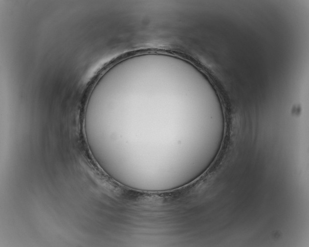 X0000111431214200907271057