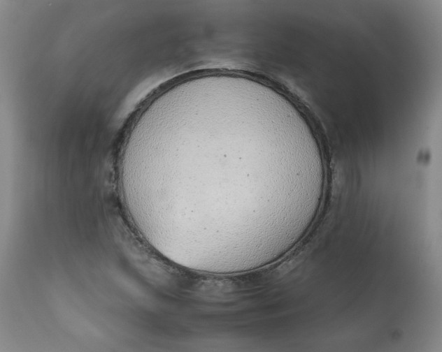 X0000111431215200907271057