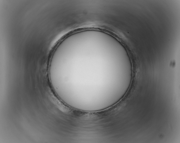 X0000111431216200907271057