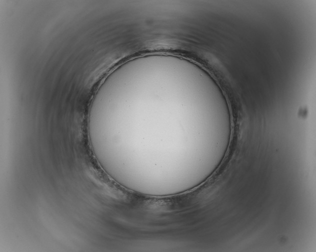 X0000111431217200907271057