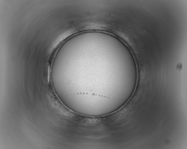 X0000111431219200907271057