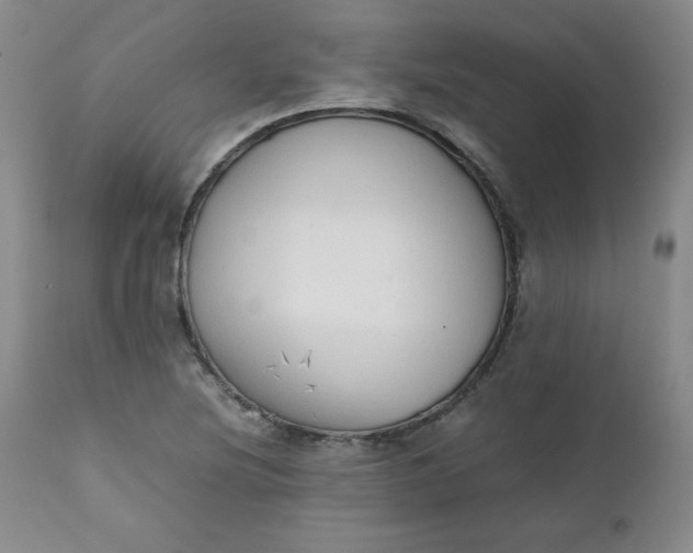 X0000111431220200907271058