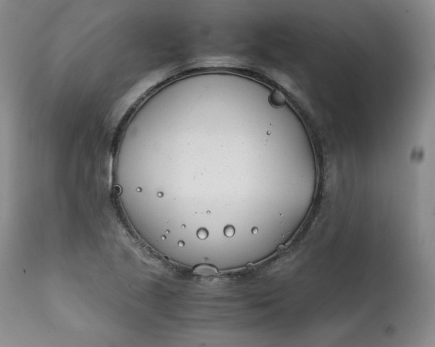 X0000111431221200907271058