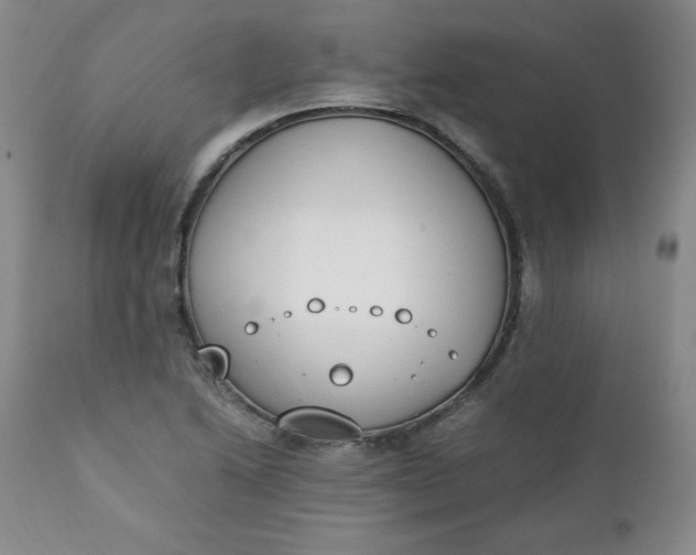 X0000111431222200907271058