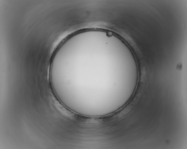 X0000111431224200907271058