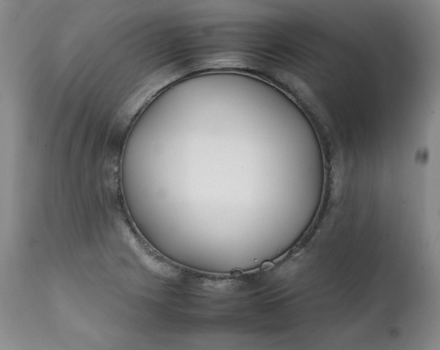 X0000111431225200907271058