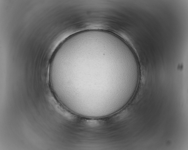 X0000111431227200907271058