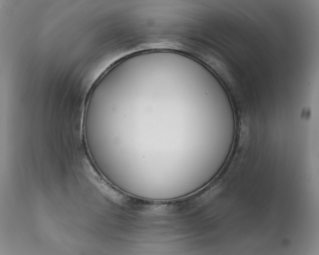 X0000111431228200907271058