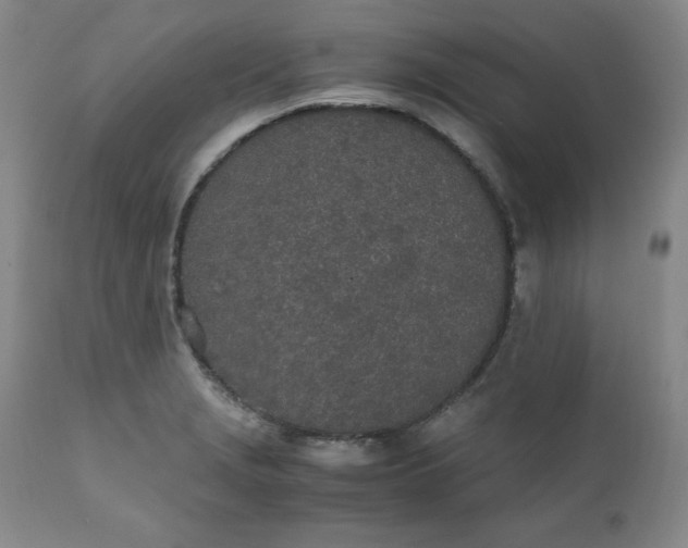 X0000111431229200907271058