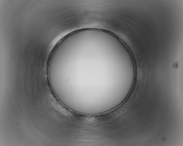 X0000111431230200907271058