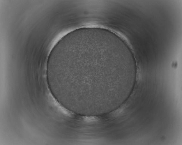 X0000111431231200907271058