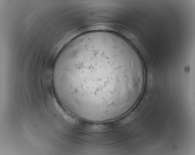 X0000111431233200907271058