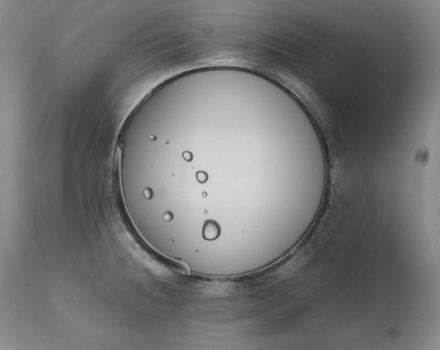 X0000111431236200907271058