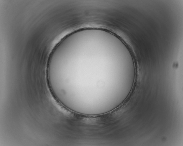 X0000111431237200907271058