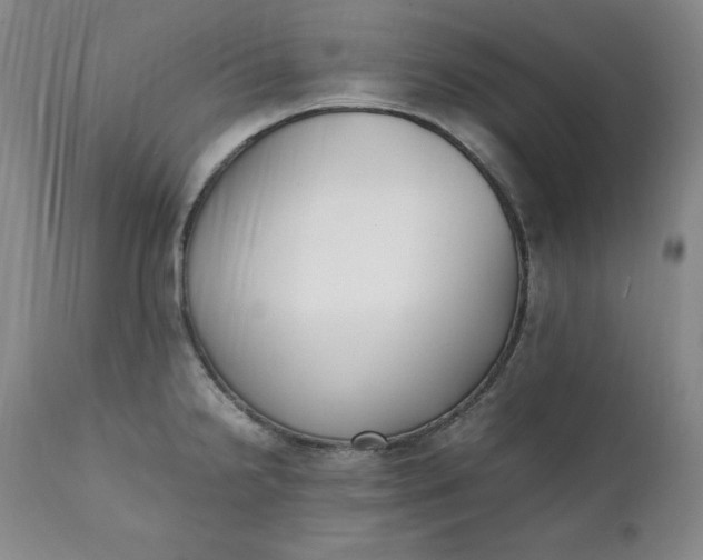 X0000111431238200907271058