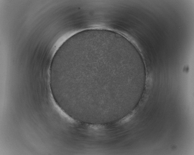 X0000111431239200907271058