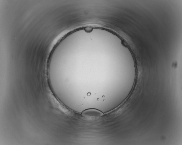 X0000111431240200907271058