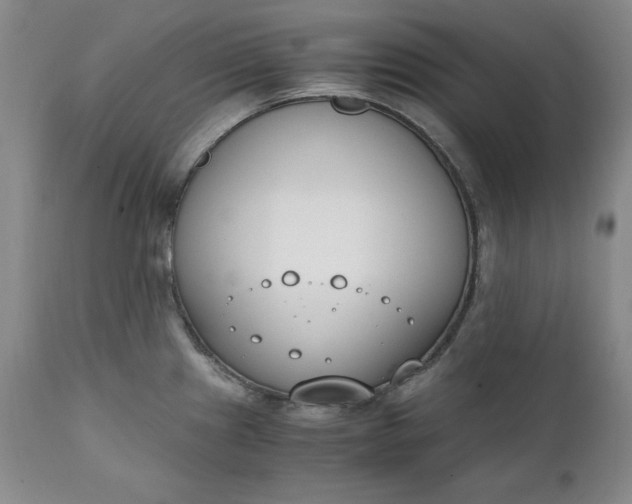 X0000111431241200907271058