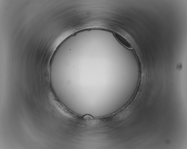 X0000111431242200907271058