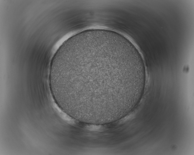 X0000111431245200907271058