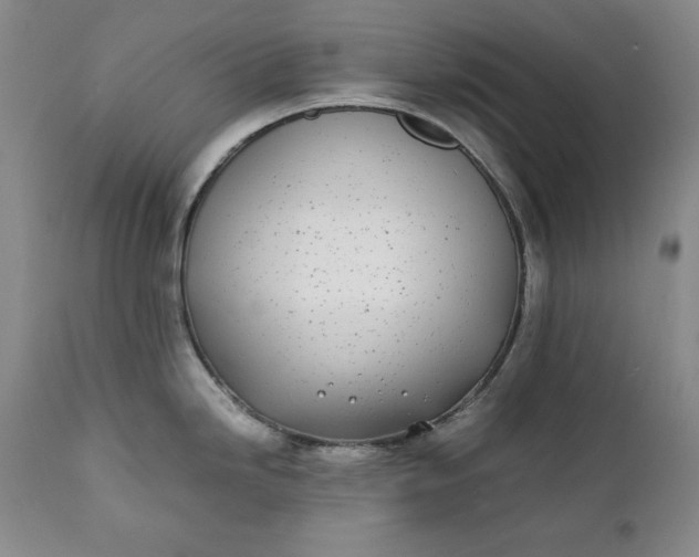 X0000111431246200907271058