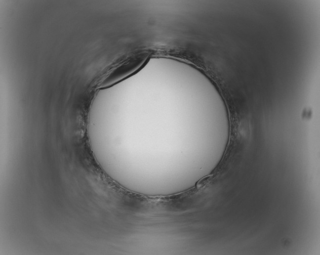 X0000111431253200907271057