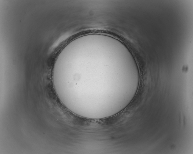 X0000111431255200907271057