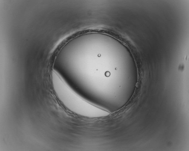 X0000111431256200907271057