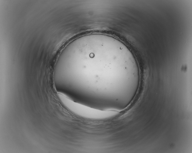 X0000111431257200907271057