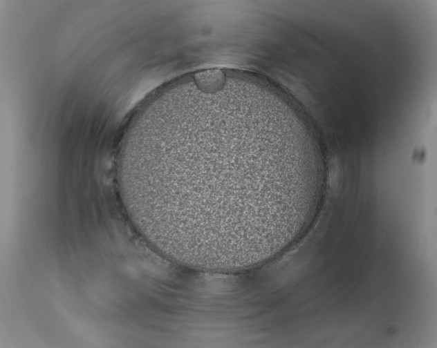 X0000111431258200907271057