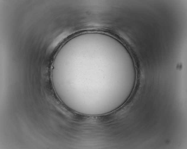 X0000111431259200907271057