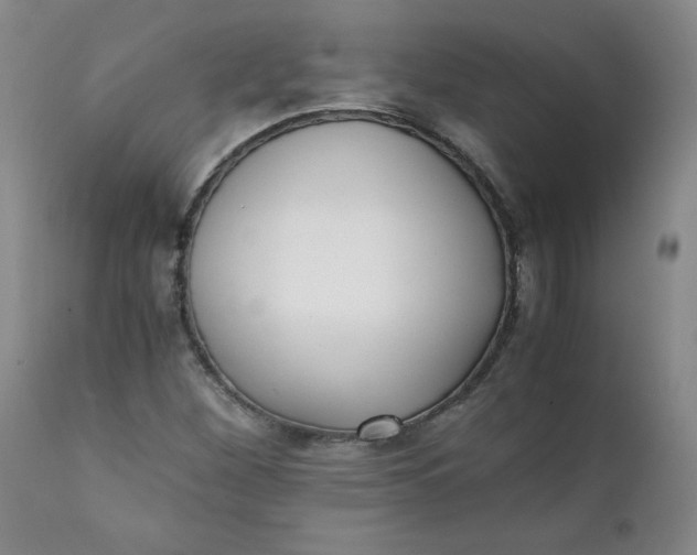 X0000111431260200907271057