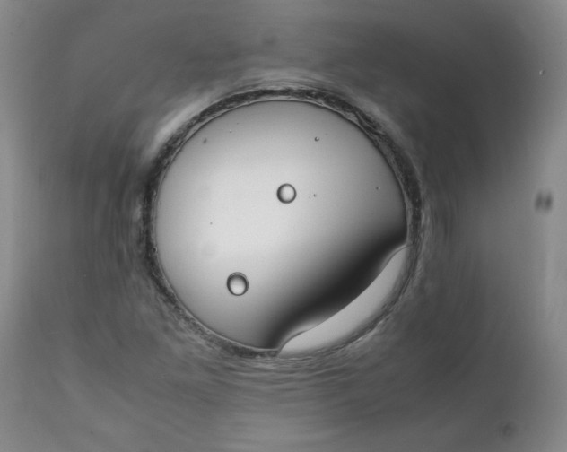 X0000111431261200907271057