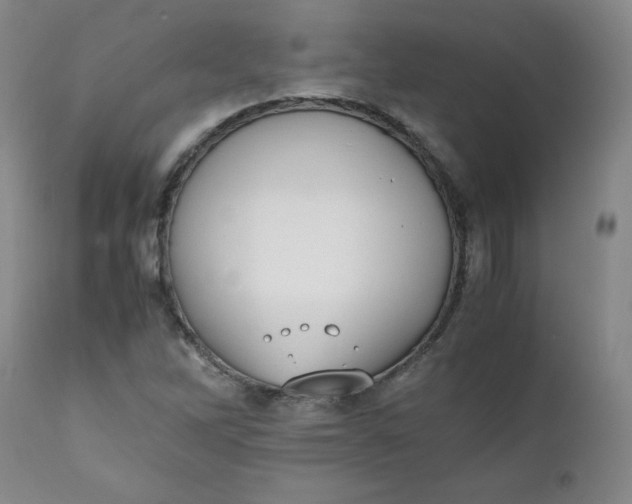 X0000111431262200907271057