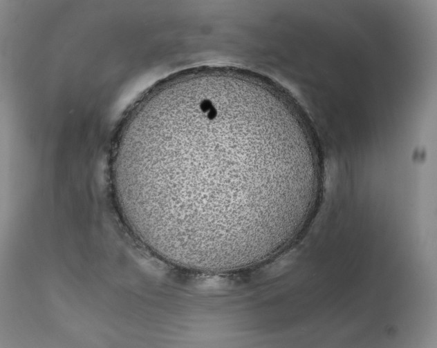 X0000111431263200907271057