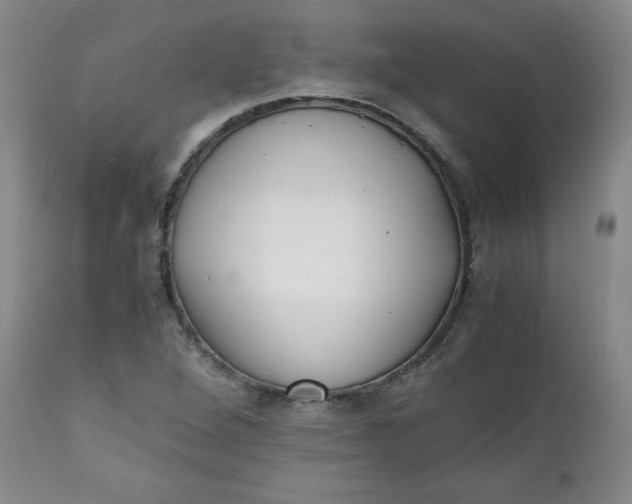 X0000111431264200907271057