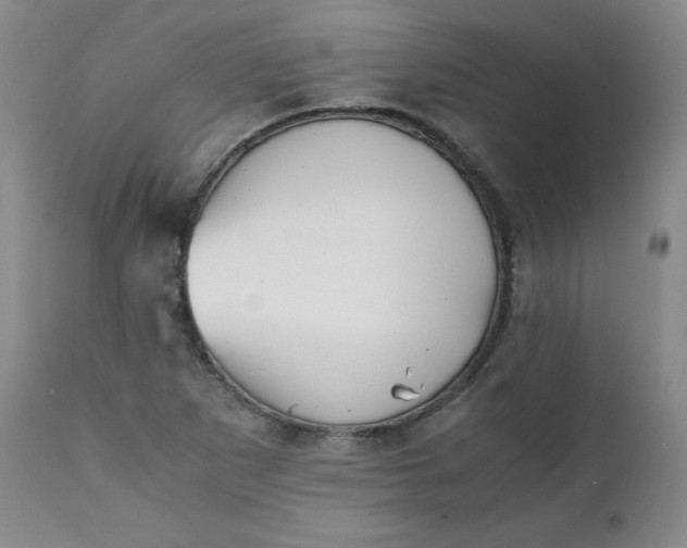 X0000111431265200907271057