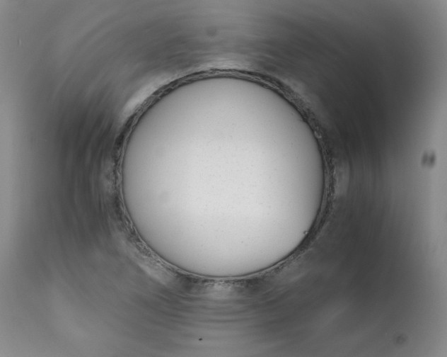 X0000111431266200907271057