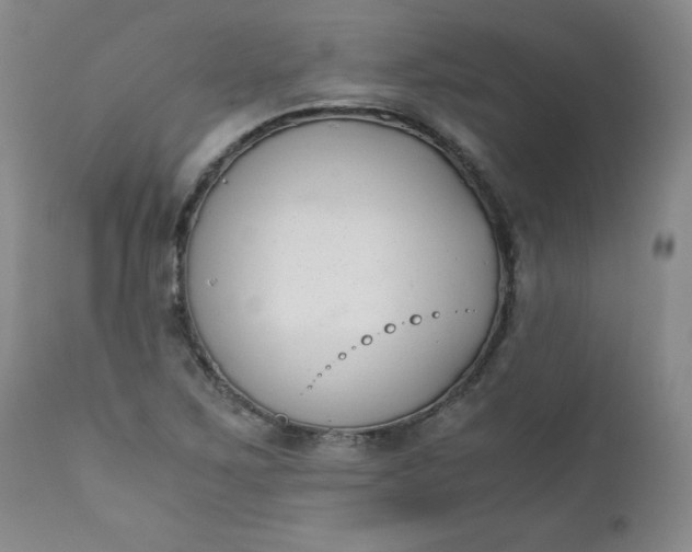 X0000111431267200907271057