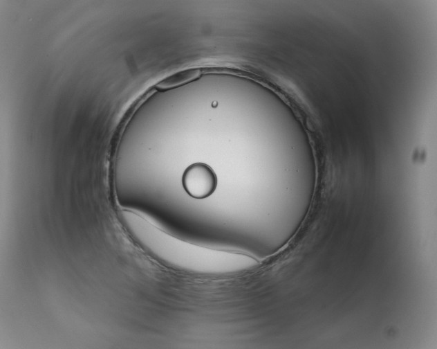 X0000111431268200907271057