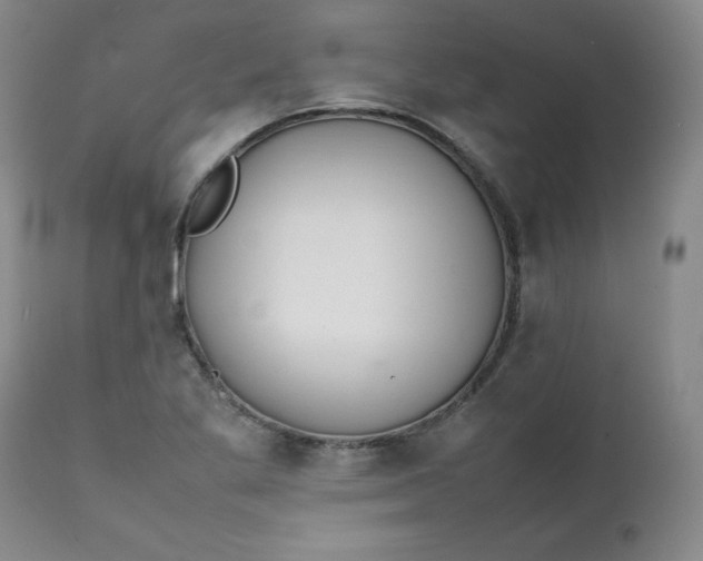 X0000111431269200907271057