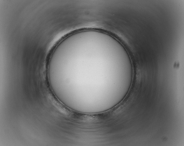 X0000111431270200907271057