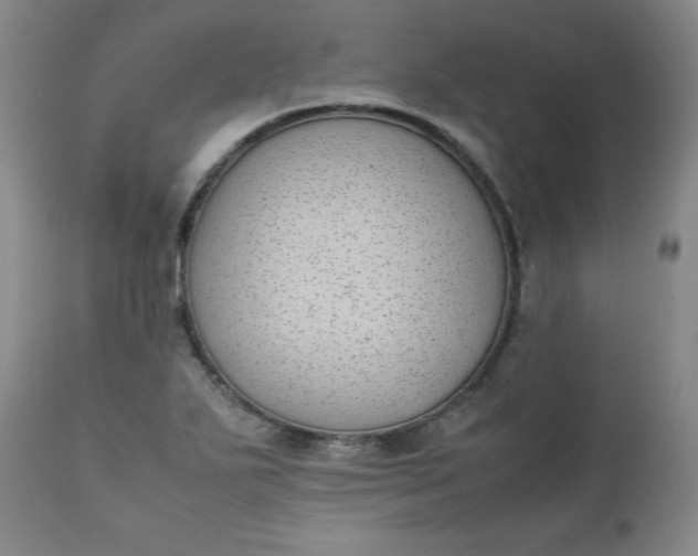 X0000111431271200907271057