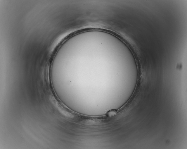 X0000111431272200907271057