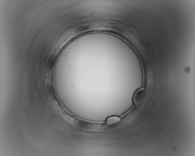 X0000111431273200907271057