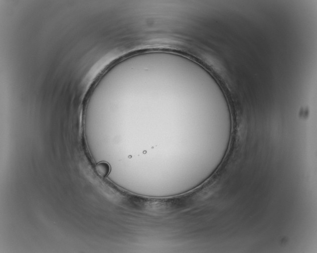 X0000111431275200907271057