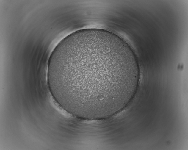 X0000111431276200907271057