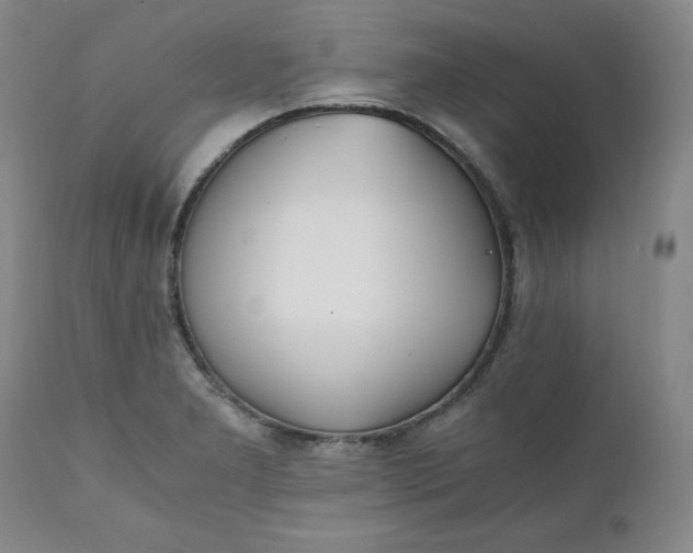 X0000111431277200907271057